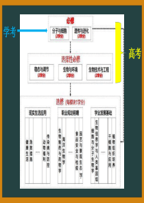 2019人教版新教材-1.1-孟德尔的豌豆杂交实验(一)