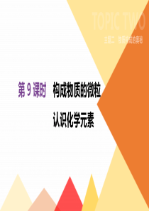 20192020年中考化学一轮复习第09课时构成物质的微粒认识化学元素