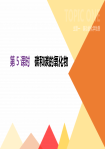 20192020年中考化学一轮复习第05课时碳和碳的氧化物