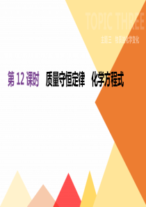 20192020年中考化学一轮复习第12课时质量守恒定律化学方程式