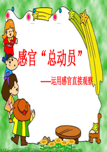 一年级上册科学课件5感官总动员苏教版共16张PPT