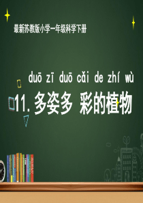 一年级下册科学课件11多姿多彩的植物苏教版共16张PPT