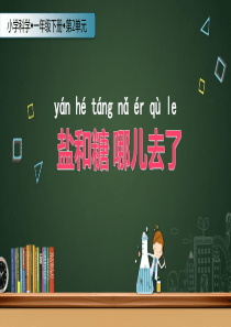 一年级下册科学课件6盐和糖哪儿去了苏教版共8张PPT