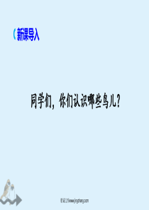 统编版部编版小学语文四年级上册第五单元16麻雀