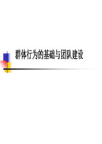 群体行为的基础与团队建设培训讲义