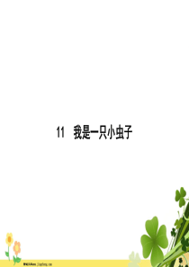 2020春新人教版部编版二年级语文下册课文311我是一只小虫子课件