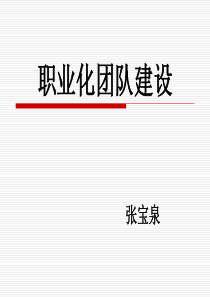 职业化团队建设