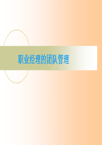 职业经理的团队管理（PPT50页)