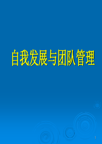 自我发展和团队建设（PPT135页)