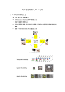 可伸缩视频编码-SVC—总结