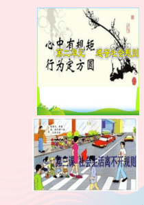 八年级道德与法治上册第二单元遵守社会规则第三课社会生活离不开规则第1框维护秩序课件1新人教版