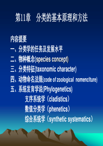 分类的基本原理和方法