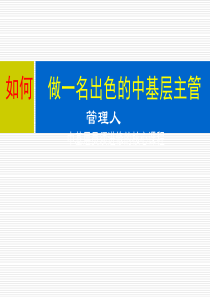 赢在中层经典实用课件赢在中层赢在团队赢在执行