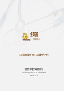 金贝妈妈月子护理平台BP商业计划书（PDF22页）