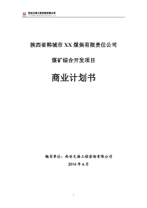 陕西矿业综合开发项目商业计划书