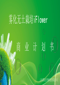 雾化无土栽培iFlower.商业计划书（PPT31页）