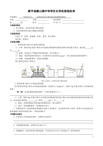 实验活动5：-一定溶质质量分数的氯化钠溶液的配制-学生实验报告单