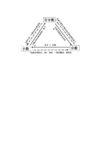 六年级上数学常见的分数小数百分数互化