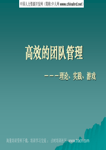 高效的团队管理__理论、实践、游戏