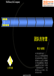 麦肯锡内部培训手册_团队的智慧（PPT30页)