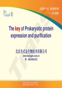 全式金-蛋白表达与纯化的PPT