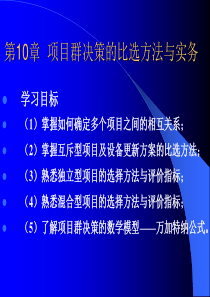 (10)第10章项目群决策的比选方法与实务