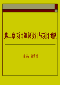 (2)项目组织设计与项目团队