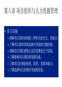 (3)第八章项目组织与人力资源管理