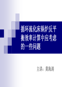 13、循环流化床锅炉反平衡效率计算中应考虑的一些问题