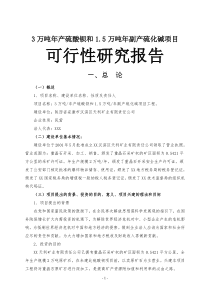 (最新)3万吨年产硫酸钡和15万吨年副产硫化碱项目可行性