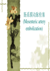 肠系膜动脉栓塞