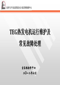 TEG热发电机运行维护及常见故障处理