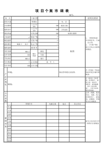 006项目个案市调报表