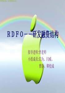 RDLP研发融资结构(1)