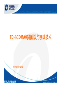 TD-SCDMA终端研发与测试技术