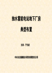 抽水蓄能电站地下厂房典型布置培训课件