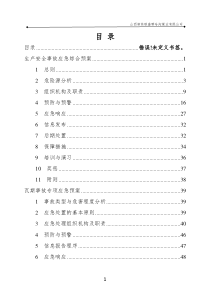 XXXX年哪哈沟煤矿生产安全事故应急预案通风