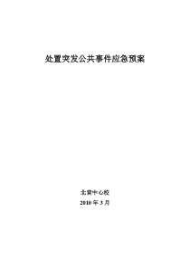 XXXX年处置突发公共事件应急预案