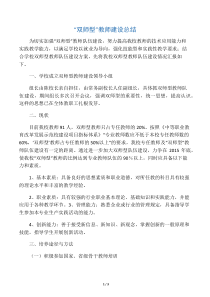 双师型教师队伍建设总结