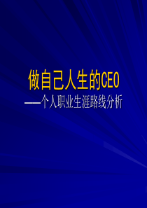 CEO管理运营之道做自己人生的CEO46712784