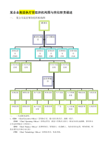 CEO体制企业运营全图与企业各岗位岗位职责描述一