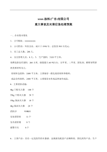 xxxx涂料(广东)有限公司-重大事故及灾害应急处理预案(doc7)(1)