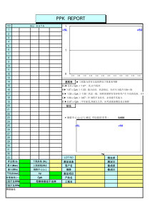 PPK报告