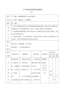 (完整)小学体育课投掷垒球教案