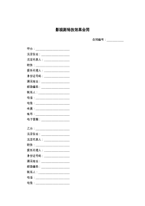 影视剧特技效果合同