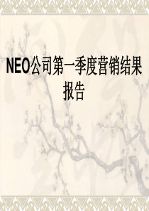 NEO第一季度运营结果报告课件