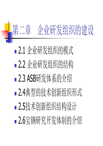 投影：第二章 企业研发组织的建设