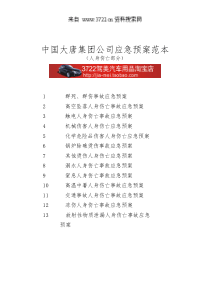 中国大唐集团公司应急预案范本（人身伤亡部分）（DOC 97页）