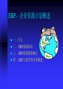 ERP_企业资源计划概述(高级)