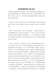 数学新教师培训心得2020